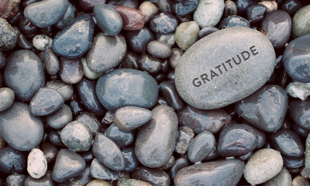 Gratitude for You and New Response to Terror